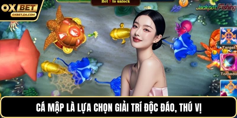 Cá mập là lựa chọn giải trí độc đáo, thú vị