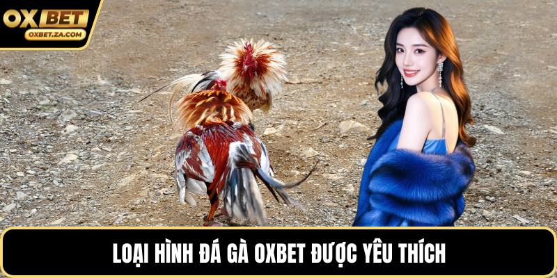 Loại hình đá gà OXBET được yêu thích