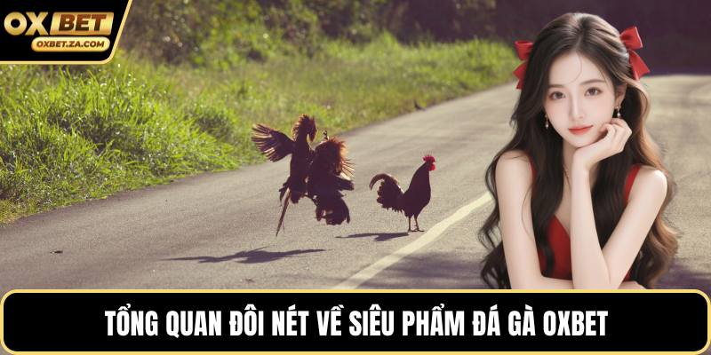 Tổng quan đôi nét về siêu phẩm đá gà OXBET
